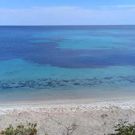 Fronte Mare * Simius